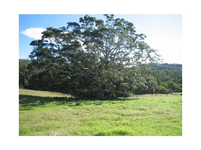 Hannam Vale NSW 2443