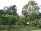 Johns River NSW 2443