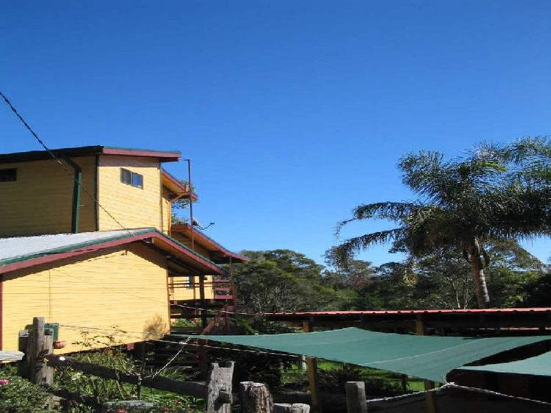 10 Phillip Close, Wingham NSW 2429