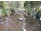 Mooral Creek NSW 2429
