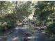 Mooral Creek NSW 2429