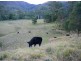 Mooral Creek NSW 2429