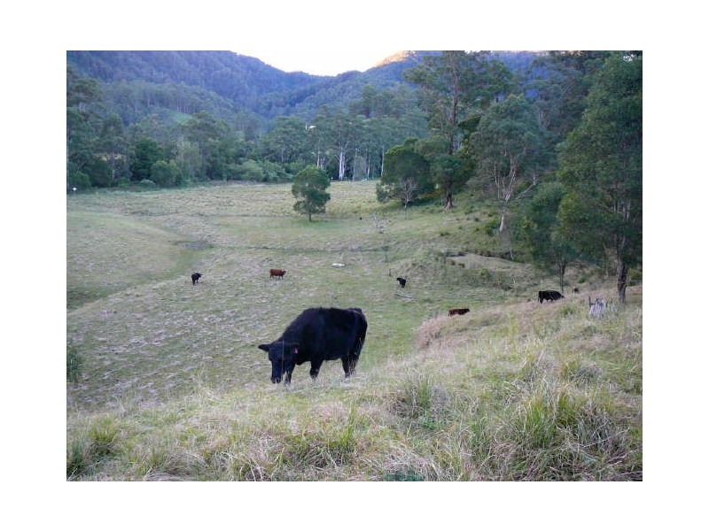 Mooral Creek NSW 2429