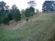 Mooral Creek NSW 2429