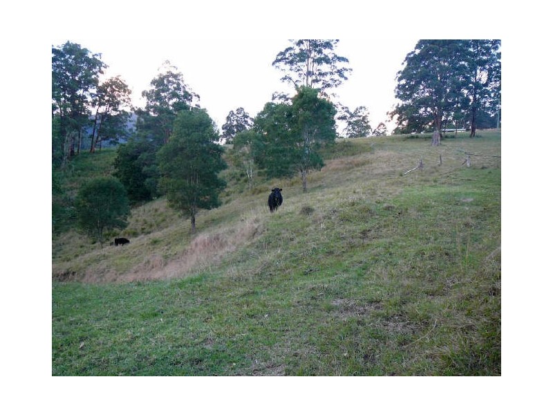 Mooral Creek NSW 2429