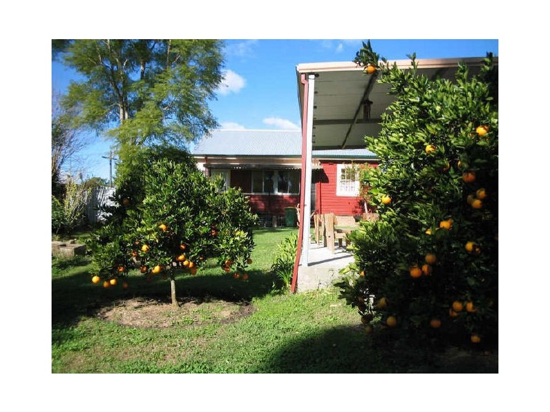 Wingham NSW 2429