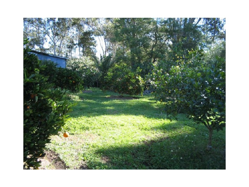 Wingham NSW 2429