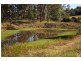 Wingham NSW 2429