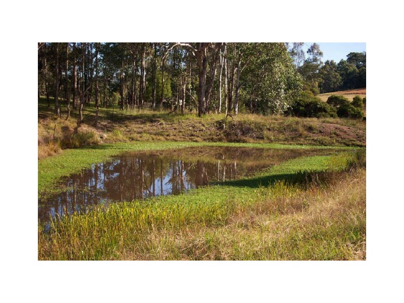 Wingham NSW 2429