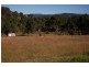 Wingham NSW 2429