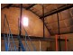 Wingham NSW 2429
