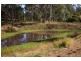 Wingham NSW 2429