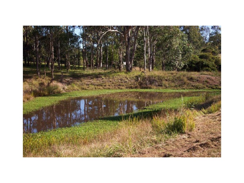Wingham NSW 2429