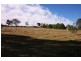 Wingham NSW 2429