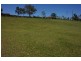 Wingham NSW 2429