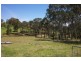 Wingham NSW 2429