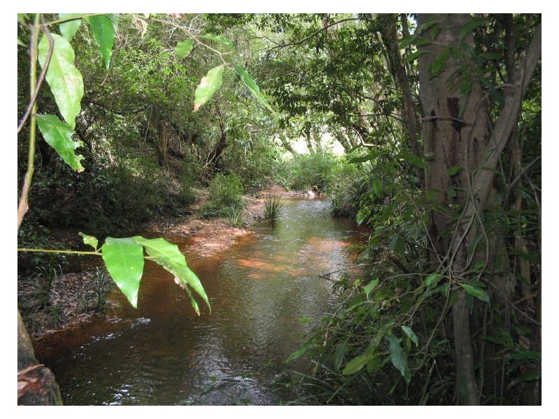 Hannam Vale NSW 2443