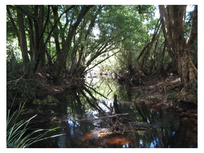 Hannam Vale NSW 2443