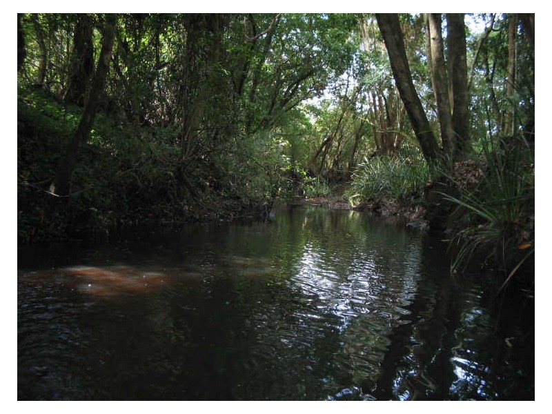 Hannam Vale NSW 2443