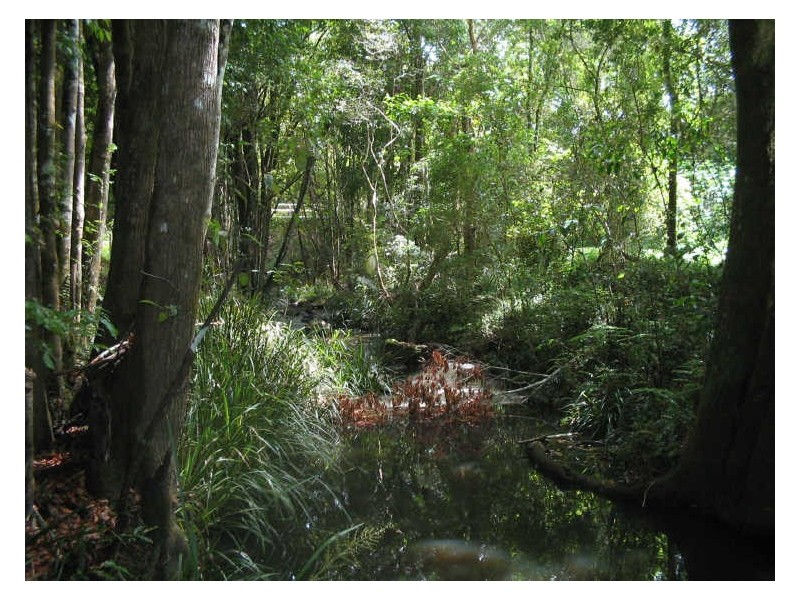 Hannam Vale NSW 2443