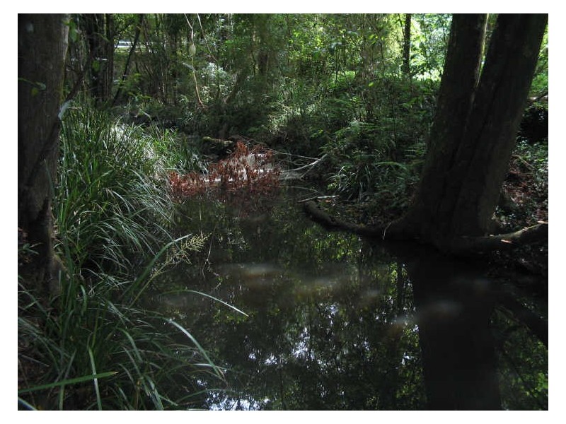 Hannam Vale NSW 2443