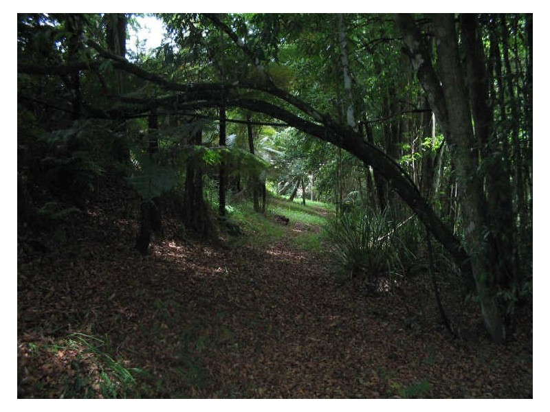 Hannam Vale NSW 2443