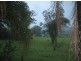Wherrol Flat NSW 2429