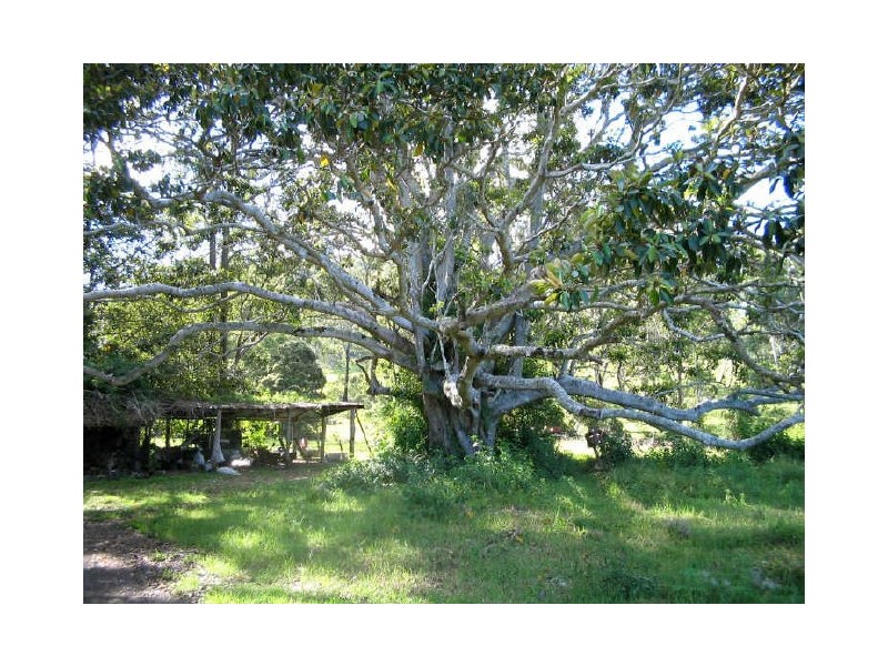 Wherrol Flat NSW 2429
