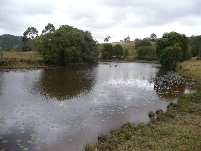 Hannam Vale NSW 2443