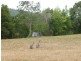 Hannam Vale NSW 2443