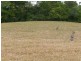 Hannam Vale NSW 2443