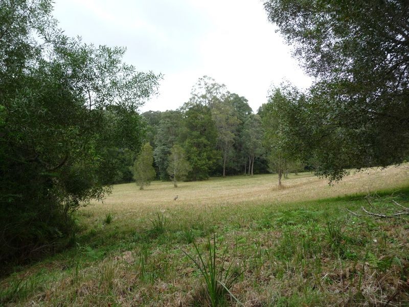 Hannam Vale NSW 2443