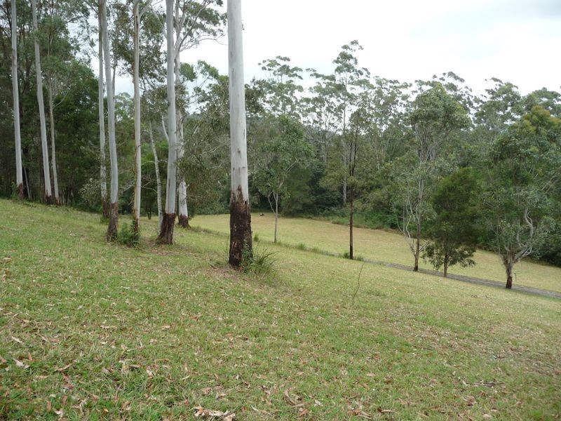 Hannam Vale NSW 2443
