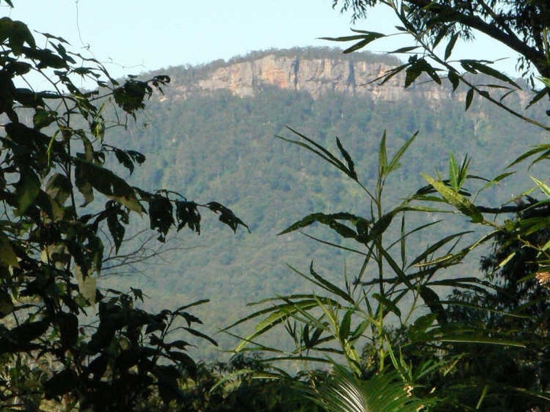 Upper Lansdowne NSW 2430