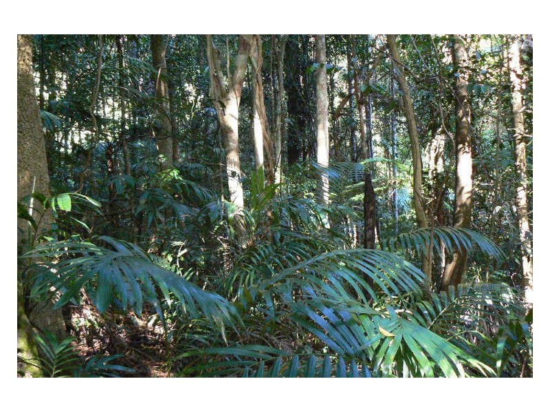 Upper Lansdowne NSW 2430