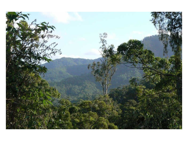 Upper Lansdowne NSW 2430