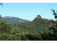 Upper Lansdowne NSW 2430