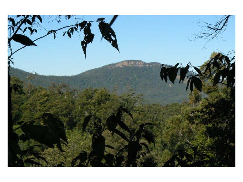 Upper Lansdowne NSW 2430
