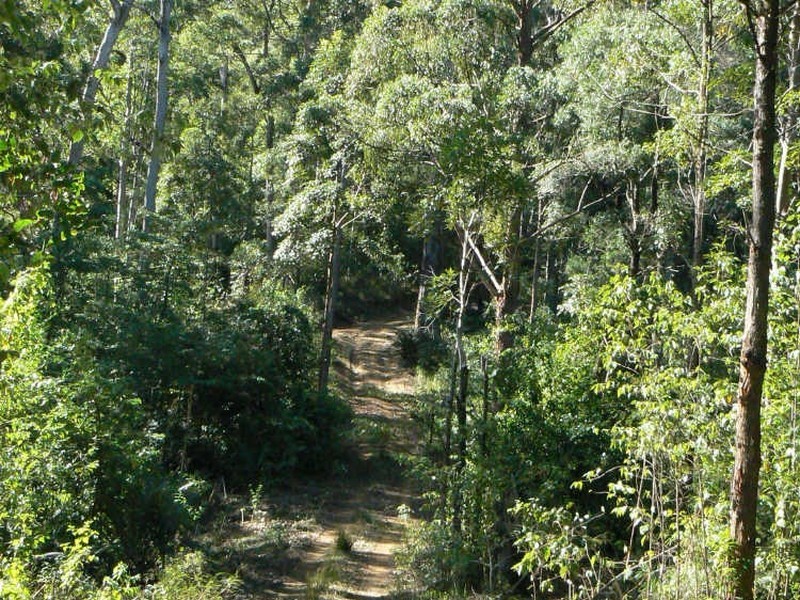 Upper Lansdowne NSW 2430