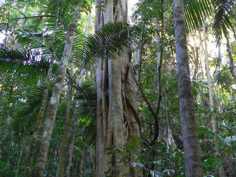 Upper Lansdowne NSW 2430