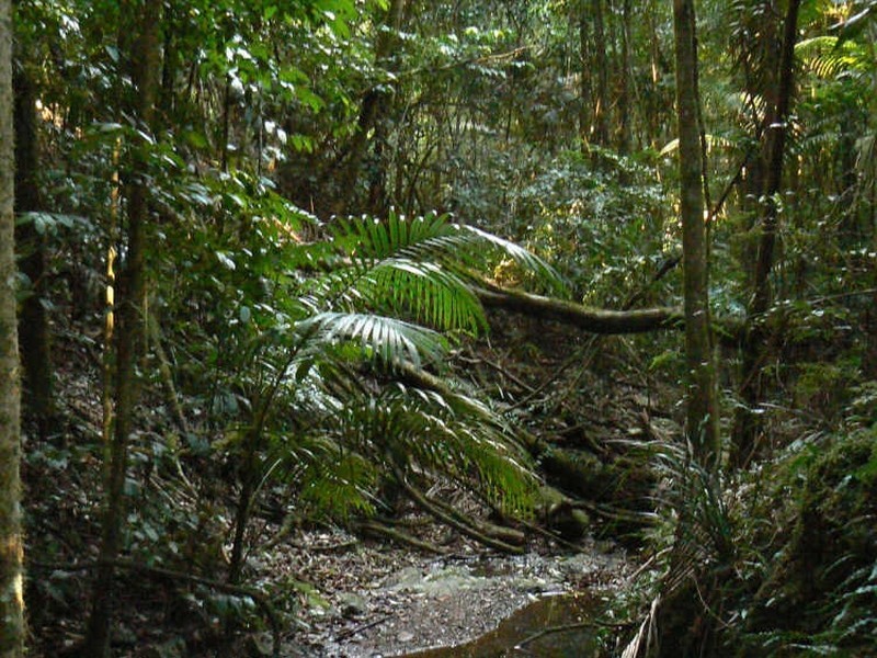 Upper Lansdowne NSW 2430