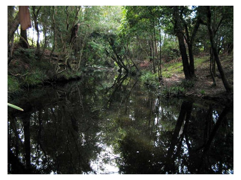 Johns River NSW 2443