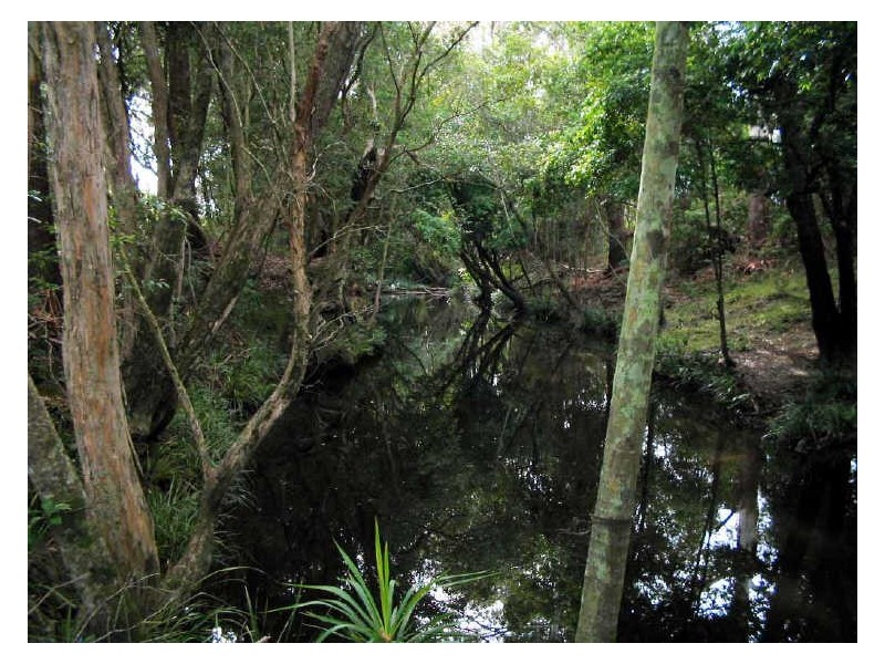 Johns River NSW 2443