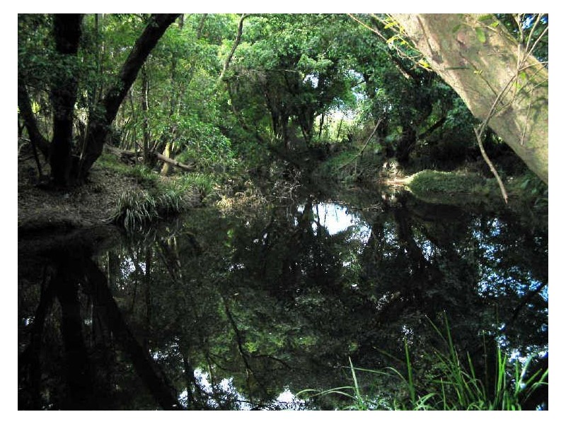 Johns River NSW 2443