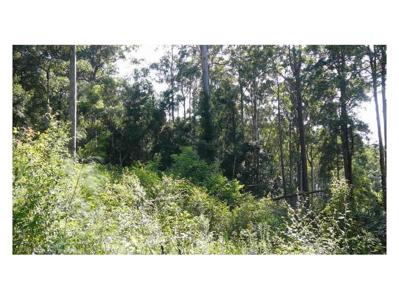 Johns River NSW 2443