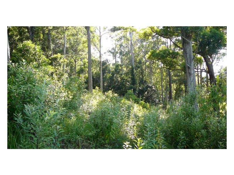 Johns River NSW 2443