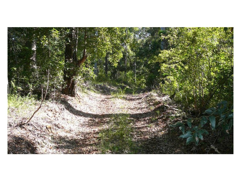 Johns River NSW 2443