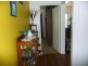 Wingham NSW 2429