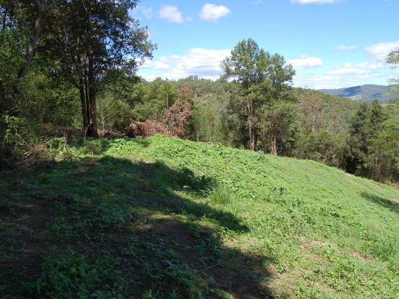Killawarra NSW 2429