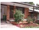 Wingham NSW 2429